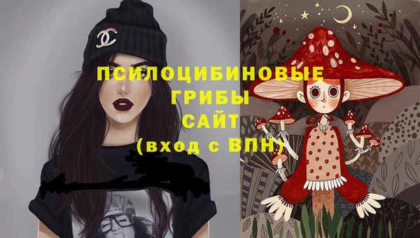 Альфа ПВП Осташков