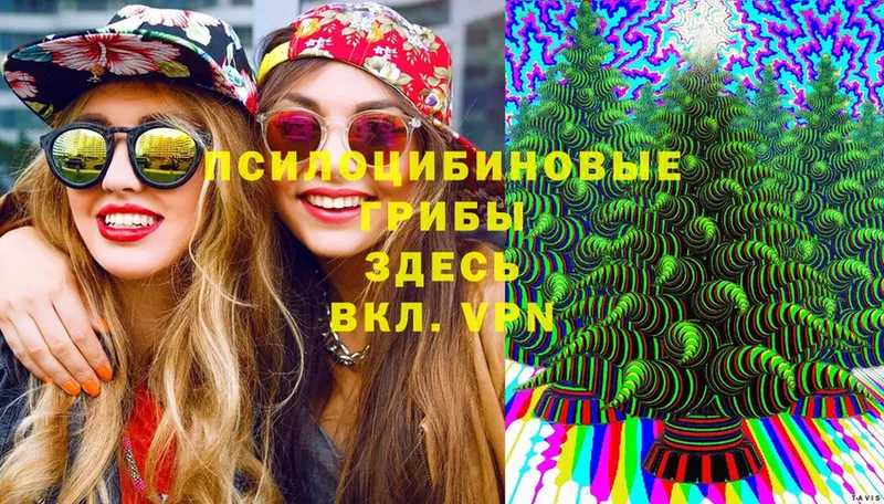 Галлюциногенные грибы MAGIC MUSHROOMS  сайты даркнета формула  Котельниково 